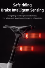 Intelligent ROCKBROS Brake Sensing Bicycle Tail Light, Auto Wake Up, Usb Rechargeable